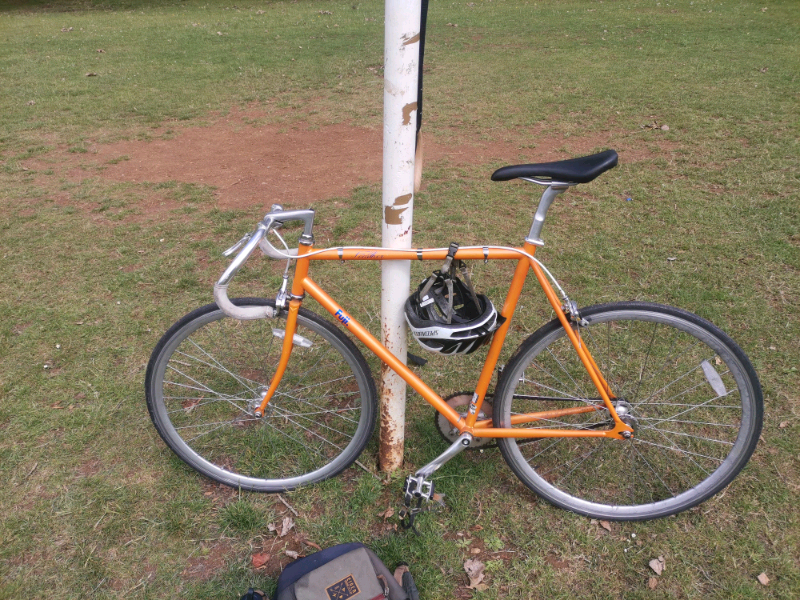 fuji feather orange